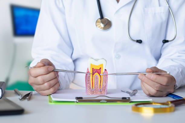 Best Cosmetic Emergency Dentistry in Hanahan, SC